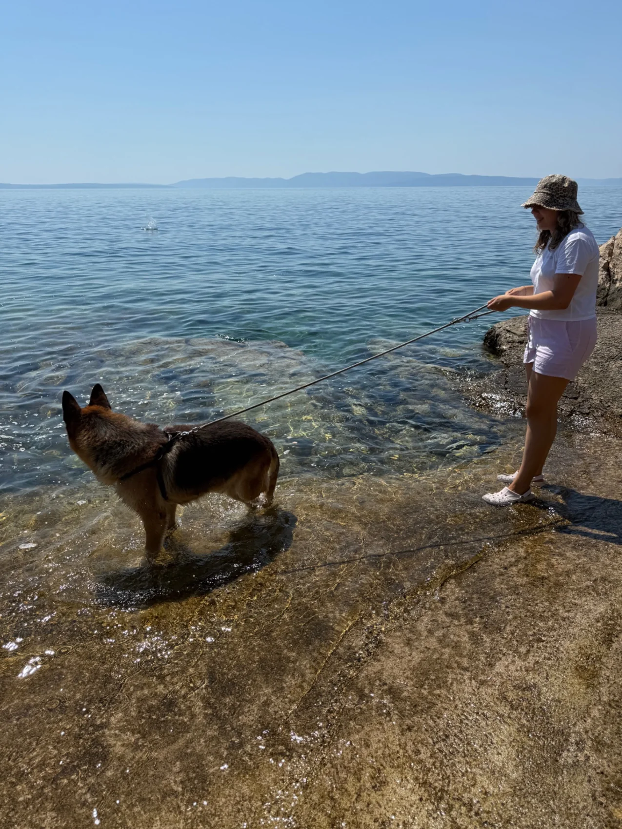 Bonni stoji u plićaku uz more na uzici